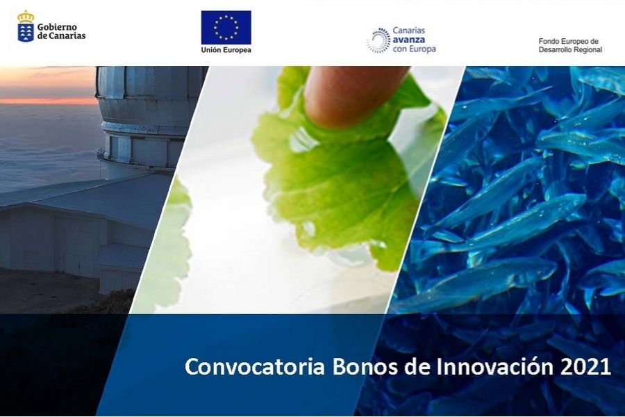 INNOBONOS 2021: Convocatoria del programa de Bonos de Innovación 2021 publicada por La Consejería de Economía, Conocimiento y Empleo